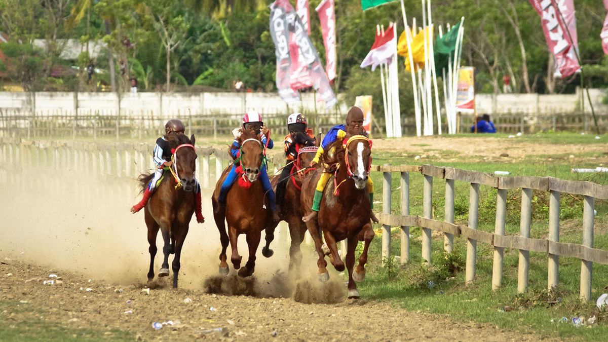 Quel ge Pour Passer Le Galop 2 Les Animaux Les Animaux De Rente